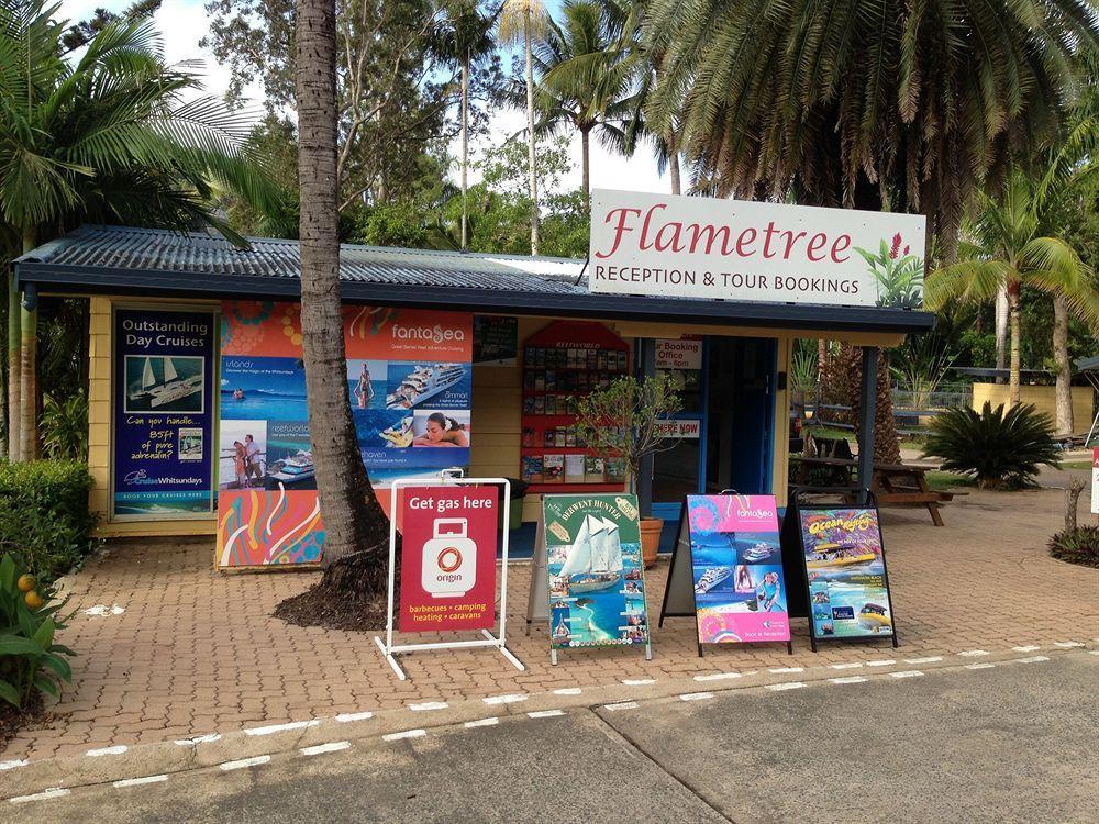 Big4 Whitsundays Tropical Eco Resort 에일리비치 외부 사진